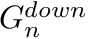 $G_n^{down}$