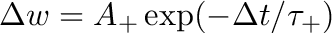 $ \Delta w = A_{+} \exp(-\Delta t/\tau_{+}) $