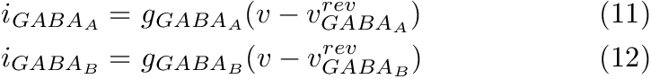 \begin{align*} i_{GABA_{A}} = & ~ g_{GABA_{A}}(v-v^{rev}_{GABA_{A}}) & \text{(11)} \\ i_{GABA_{B}} = & ~ g_{GABA_{B}}(v-v^{rev}_{GABA_{B}}) & \text{(12)} \end{align*}