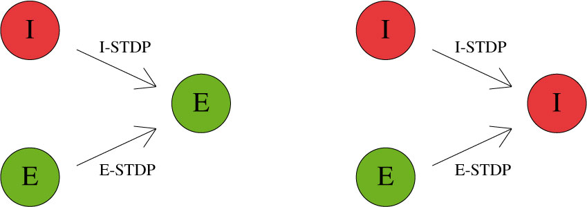 5_stdp_types.jpg